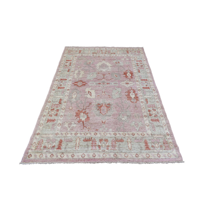 5'x7' Organic Wool Hand Knotted Faded Pink Angora Oushak with Colorful Motifs Oriental Rug FWR413238