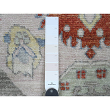 Load image into Gallery viewer, 4&#39;x6&#39;2&quot; Crepe Pink, Anatolian Village Inspired with Bird Figurines and Medallions Design, High Mountain Wool, Hand Knotted, Natural Dyes, Oriental Rug FWR123204