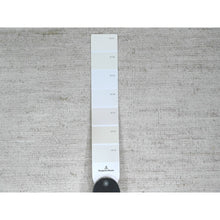 Load image into Gallery viewer, 2&#39;10&quot;x4&#39;9&quot; Daisy White, Plain Solid Pattern, Hand Knotted, Hand Spun Ghazni Wool, Lush And Plush, Oriental Rug FWR124956