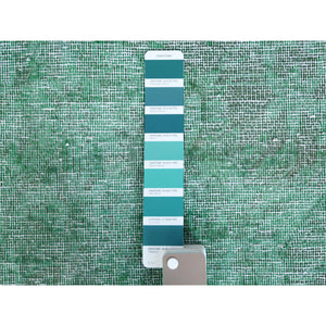 9'7"x12'5" Hand Knotted Shades of Light Green Overdyed Clean Distressed Vintage Persian Kerman Organic Wool Oriental Rug FWR361830