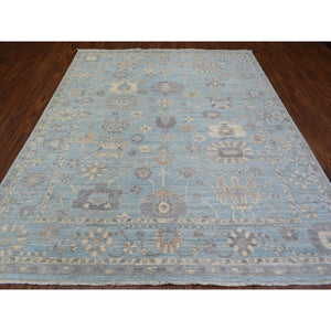 8'x9'8" Light Blue, Soft And Velvety Wool Hand Knotted, Afghan Angora Oushak With Branch And Flower Design Natural Dyes, Oriental Rug FWR433716