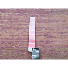 Load image into Gallery viewer, 9&#39;x12&#39;3&quot; Flamingo Pink With Ivory, Horizontal Ombre Design, Hand Knotted, Pure Wool, Oriental Rug FWR453072