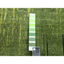 Load image into Gallery viewer, 8&#39;x10&#39;1&quot; Pickle Green, Vertical Ombre Design, Hand Knotted, Soft and Vibrant Wool, Densely Woven, Oriental Rug FWR453300