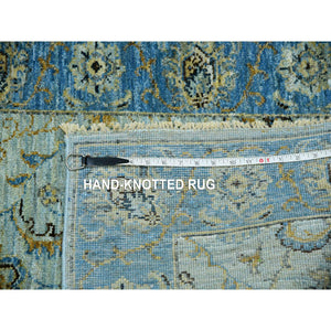 2'9"x16'1" Cruise With True Blue Border, 100% Wool, Hand Knotted, Natural Dyes Denser Weave, Agra, Shah Abbas XL Runner With Floral Pattern, Oriental Rug FWR456306