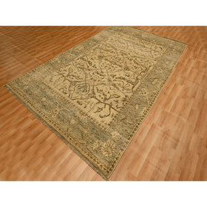 6'x9'7" Ecru Brown, Bijar Garus Design, Zero Pile, Distressed, Shaved Low, Hand Knotted, Undyed Natural Wool, Oriental Rug FWR457218
