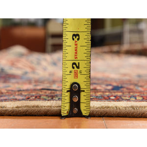 12'2"x14'7" Peanut Brown, Antique Persian Bidjar, Trellis Garden Design, Even Wear, Clean, Sides And Ends Professionally Secured, 100% Wool On Wool, Hand Knotted, Oversized, Oriental Rug FWR470202