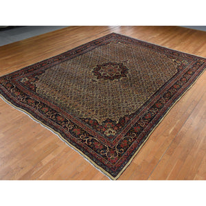 10'5"x13'8" Biscotti Yellow, Antique Persian Bidjar with Medallion Design, Nice Pile Throughout, Clean and Soft, 100% Wool, Hand Knotted, Oriental Rug FWR470238