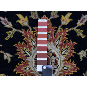 8'x10'1" Clare Black, Hand Knotted Vegetable Dyes, Agra Organic Wool and Scroll and Large Leaf Design, Oriental Rug FWR498672