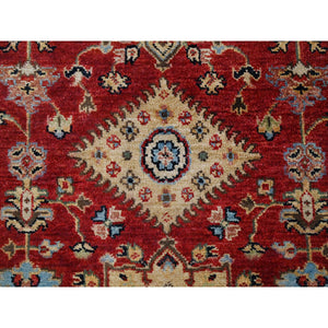 2'10"x24'9" Red and Gold, Karajeh Design, with Geometric Medallions, Extra Soft Wool, Hand Knotted, XL Runner Oriental Rug FWR505578