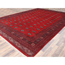 Load image into Gallery viewer, 10&#39;1&quot;x14&#39;7&quot; Hibiscus Red, Princess Bokara With All Over Medallions, Natural Dyes, Extra Soft Wool, Hand Knotted Oriental Rug FWR511212