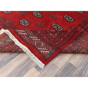 10'1"x14'7" Hibiscus Red, Princess Bokara With All Over Medallions, Natural Dyes, Extra Soft Wool, Hand Knotted Oriental Rug FWR511212