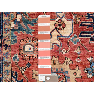 6'1"x8'10" Cardinal Red, Vegetable Dyes, Heriz All Over Design, Ghazni Wool, Aryana Collection, Hand Knotted, Oriental Rug FWR519516