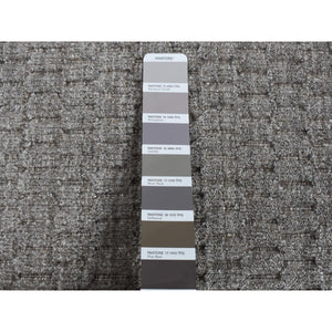 2'x3' Scorpion Gray, Hand Loomed, Tone on Tone Design, 100% Wool, Sample Oriental Rug FWR526980