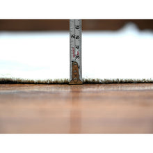 Load image into Gallery viewer, 9&#39;9&quot;x13&#39;8&quot; Platinum Gray, Bidjar Garus Design, Vegetable Dyes, Hand Knotted, Natural Wool, Dense Weave, Oriental Rug FWR528504