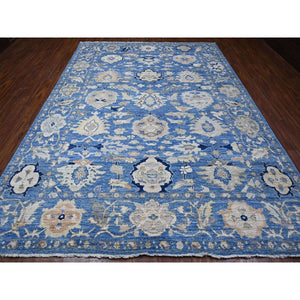 8'9"x11'10" Ruddy Blue, Natural Dyes, Wool Weft And Hand Knotted, Afghan, Tribal Elements Design, Angora Oushak, Oriental Rug FWR532158