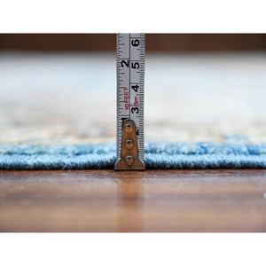9'x11'8" Cornflower Blue and Cloud Gray Border, Hand Knotted, Pure Wool, Vegetable Dyes, Aryana Collection With All Over Design, Oriental Rug FWR532386