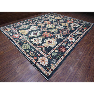 11'10"x14'5" Charcoal Black, Wool Weft, Vegetable Dyes With Colorful And Vibrant Tribal Medallions All Over, Hand Knotted, XL Afghan Angora Oushak, Oriental Rug FWR532644