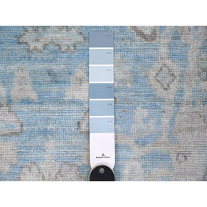 6'2"x8'10" Argentina Blue, Natural Dyes With All Over Rural Floral Design, Hand Knotted Angora Oushak, Wool Weft, Oriental Rug FWR534720