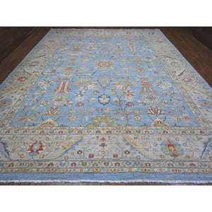12'1"x14'6" Argentina Blue, Natural Dyes, Hand Knotted Fine Aryana Peshawar, Pure Wool, Heriz All Over Design, Xl Oriental Rug FWR536958