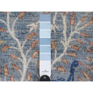 2'6"x25'7" Carolina Blue, Afghan Peshawar with Birds of Paradise Design, Hand Knotted, Vegetable Dyes, Soft Wool, XL Runner, Oriental Rug FWR538938