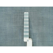Load image into Gallery viewer, 9&#39;x11&#39;10&quot; Templeton Gray, Loom Knotted Plain Wool and Plant Based Silk, Thick and Plush Soft Pile, Oriental Rug FWR540924