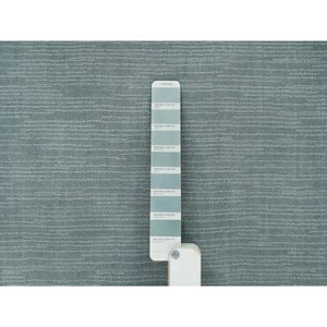 2'x3'1" Stormcloud Gray, Thick and Plush Plain Loom Knotted, Wool and Plant Based Silk, Mat Oriental Rug FWR541050