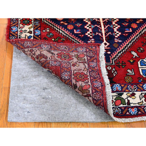 3'6"x4'9" New Persian Shiraz Serrated Medallion, Birds, Pure Wool Hand Knotted Oriental Rug FWR357756