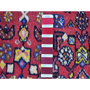 3'5"x6' New Persian Hamadan Organic Wool Clean Hand Knotted Oriental Rug FWR357990