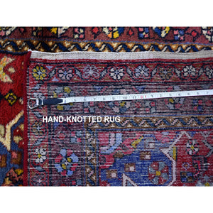 3'5"x6' New Persian Hamadan Organic Wool Clean Hand Knotted Oriental Rug FWR357990