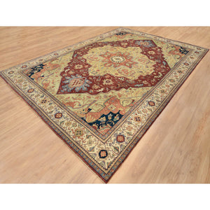 10'x14'1" Terracotta Red, Antiqued Fine Heriz Re-Creation, Densely Woven Natural Dyes, Hand Spun Wool Hand Knotted, Oriental Rug FWR389520