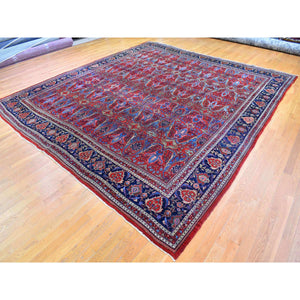 12'5"x13'9" Tomato Red Antique Persian Bijar XL Squarish Size All Over Garus Design Full Pile Clean and Soft Pure Wool Hand Knotted Oriental Rug FWR401190