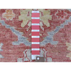 3'1"x16'1" Hand Knotted Coral Red Angora Oushak with Colorful Motifs Organic Wool Oriental XL Runner Rug FWR414336