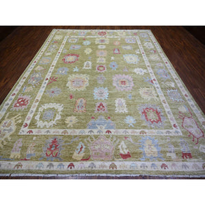 9'3"x11'10" Golden Green, Pure Wool, Afghan Angora Oushak with Colorful Motifs, Vegetable Dyes, Hand Knotted, Oriental Rug FWR439170
