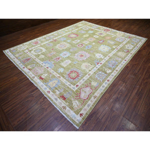 9'3"x11'10" Golden Green, Pure Wool, Afghan Angora Oushak with Colorful Motifs, Vegetable Dyes, Hand Knotted, Oriental Rug FWR439170