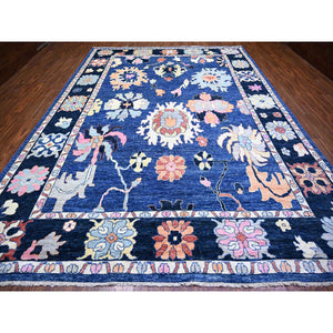 10'x13'9" Sapphire Blue, 100% Wool Hand Knotted, Afghan Angora Oushak with Pop Of Colors Natural Dyes, Oriental Rug FWR441576