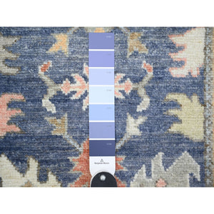 2'9"x15'8" Admiral Blue, Afghan Angora Oushak with Colorful Motifs Natural Dyes, 100% Wool Hand Knotted, XL Runner Oriental Rug FWR443112